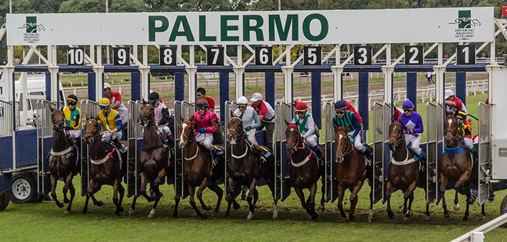 Carreras de caballos en directo